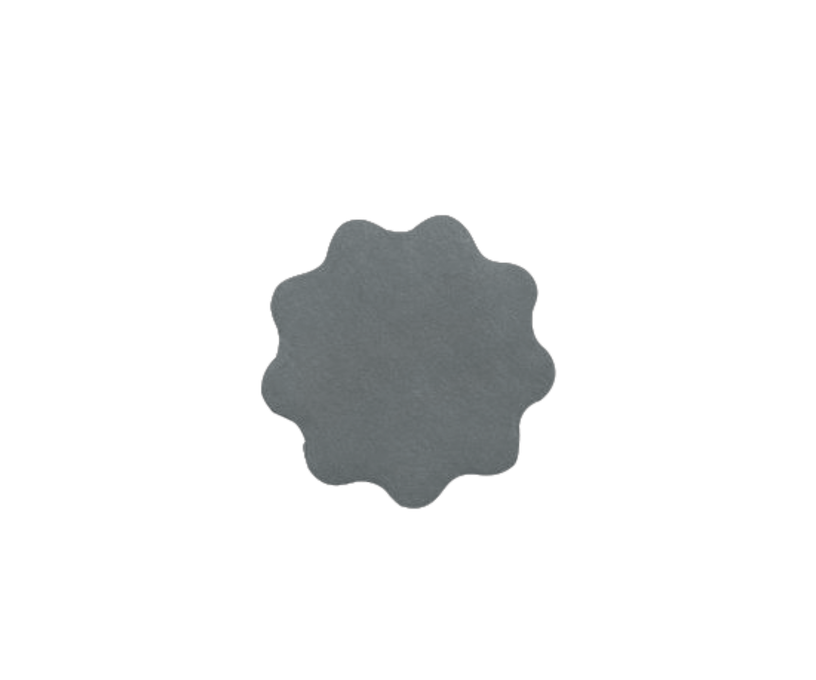 RUPES Adhesive Disk for Denibbing P2000 Ø35 mm 10 pcs 9.45520