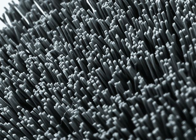 Щётка средней жёсткости SGCB Pneumatic Carpet Brush Medium SGGD236