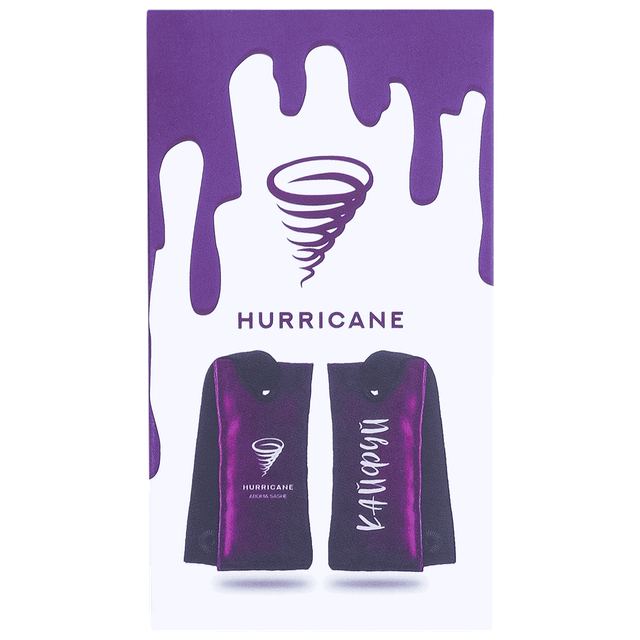 Автомобильное саше Hurricane Enjoy Purple Love HJ01