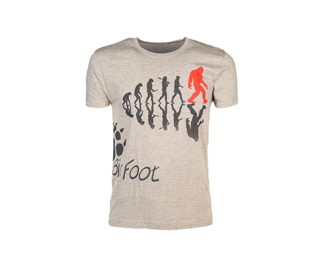 Футболка RUPES BigFoot T-Shirt Gray S 9.Z752/SG